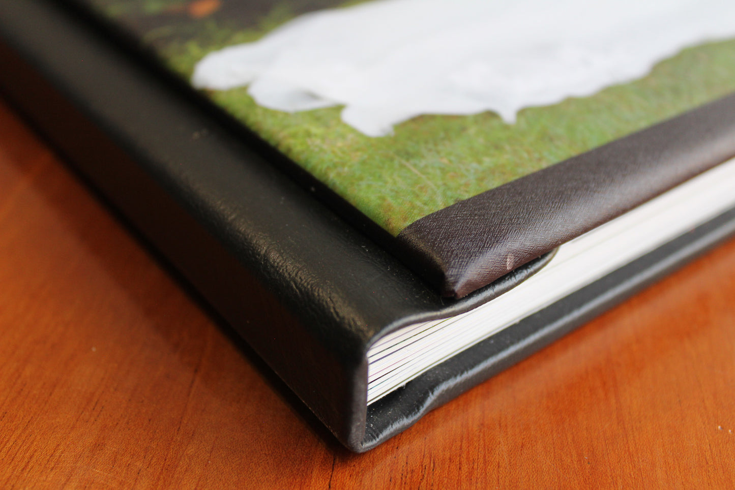 Fotiolibro con madera detras y